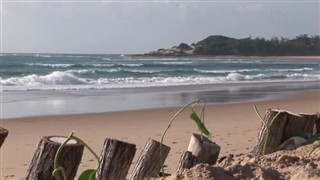 Mozambik hava tahmini