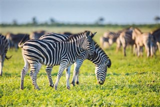 Mozambique vejrudsigt