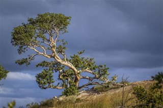 Mozambik hava tahmini