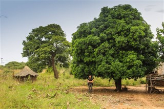 Mozambique vejrudsigt