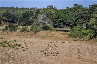 Mozambik hava tahmini