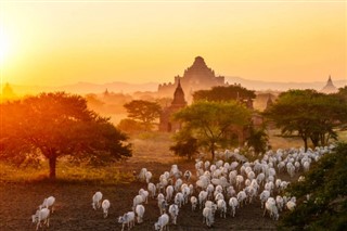 Myanmar (Burma) Hava tahmini