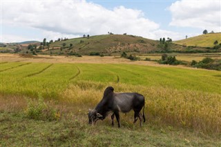 Myanmar (Burma) vejrudsigt
