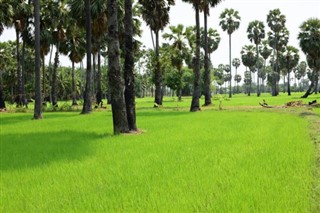 Myanmar (Birmanie) prévisions météorologiques