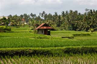 Myanmar (Burma) hava tahmini