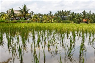 Myanmar (Burma) hava tahmini
