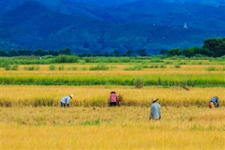 Myanmar (Birmanie) prévisions météorologiques