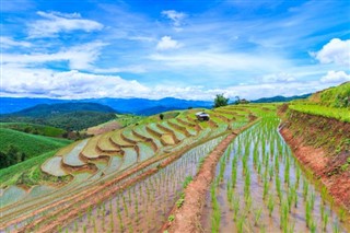 Myanmar (Burma) Hava tahmini