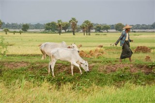Myanmar (Birmania) pronóstico del tiempo