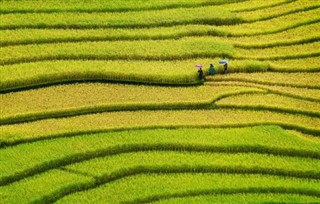 Myanmar (Burma) vejrudsigt