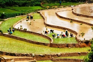 Myanmar (Burma) hava tahmini