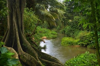 Myanmar (Burma) vejrudsigt