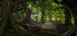 Myanmar (Burma) hava tahmini