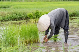Myanmar (Burma) hava tahmini