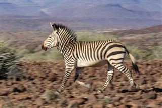 Namibia vejrudsigt
