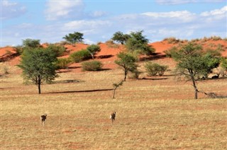 Namibia vejrudsigt