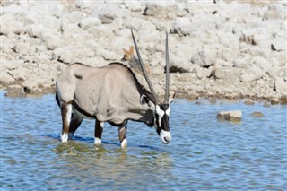 Namibia vejrudsigt