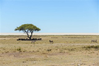 Namibia vejrudsigt