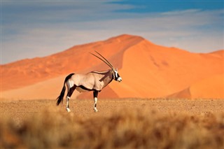 Namibia vejrudsigt