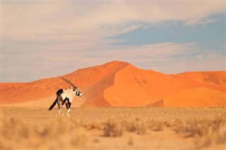 ناميبيا توقعات الطقس