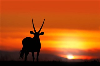 Namibia vejrudsigt
