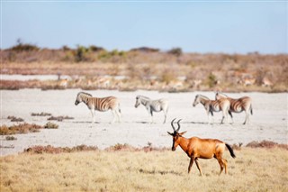 Namibia vejrudsigt