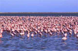 Namibia vejrudsigt
