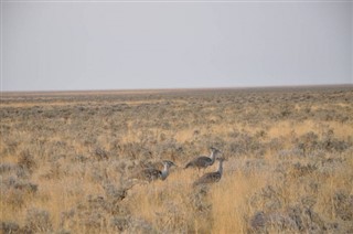 Namibia vejrudsigt