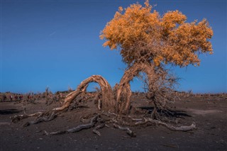 Namibya hava tahmini