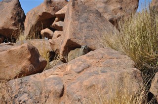 Namibia vejrudsigt