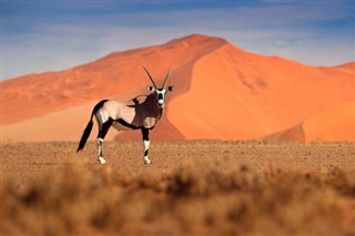 Namibie prévisions météorologiques