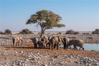 Namibie prévisions météorologiques