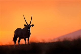 Namibia vejrudsigt