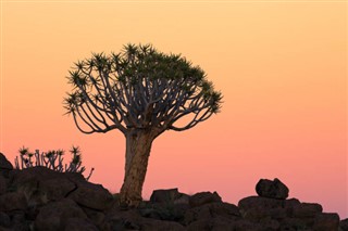 Namibia vejrudsigt