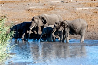 Namibia vejrudsigt