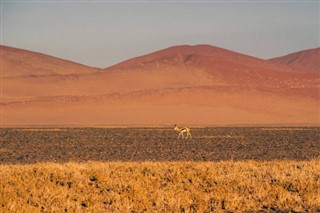 Namibie prévisions météorologiques