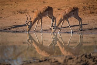 Namibia vejrudsigt