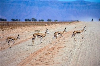 Namibie prévisions météorologiques