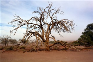 Namibie prévisions météorologiques