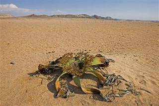 Namibia vejrudsigt