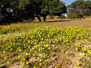 Namibya hava tahmini