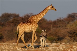 Namibia vejrudsigt