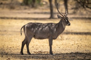 Namibia vejrudsigt