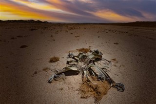 Namibie prévisions météorologiques