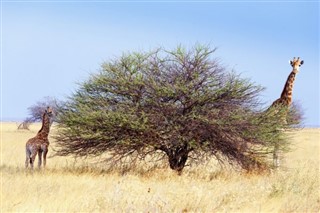 Namibia vejrudsigt
