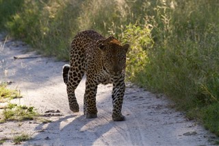 Namibia vejrudsigt