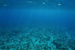 Nauru hava tahmini