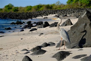 Nauru hava tahmini