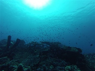 Nauru hava tahmini