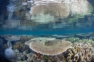 Nauru hava tahmini